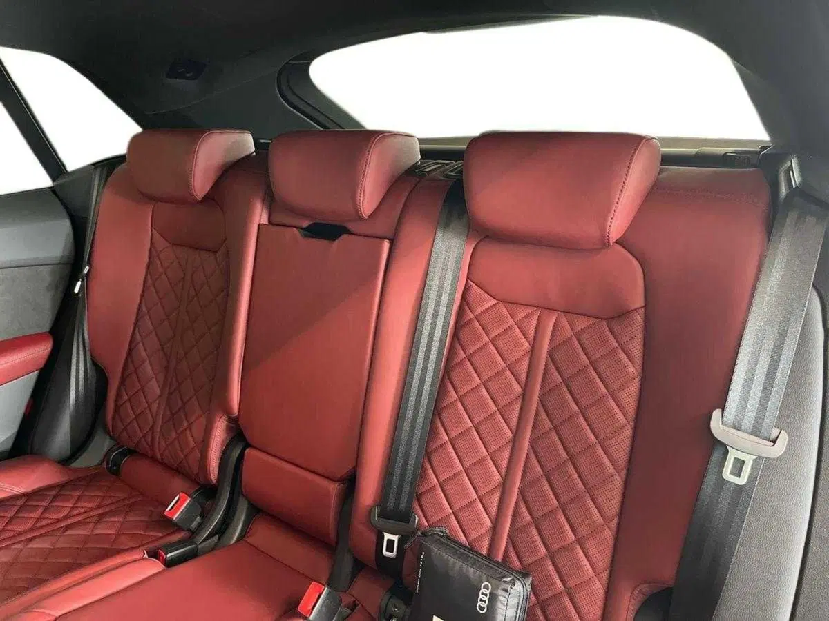 Audi Q8 usata a Ferrara (13)