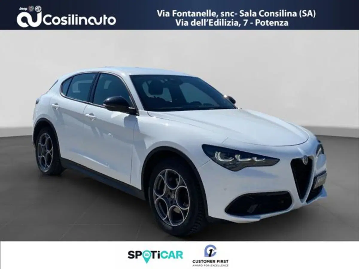 Alfa Romeo Stelvio usata a Salerno (7)