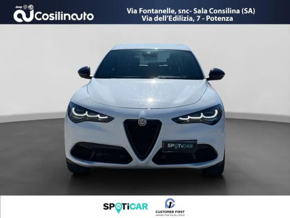 Alfa Romeo Stelvio usata a Salerno (8)