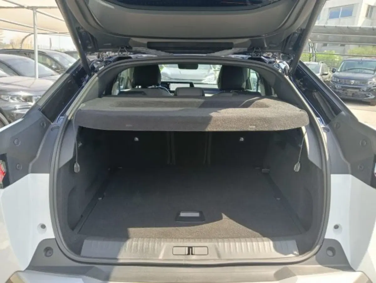 Peugeot 3008 usata a Brescia (15)