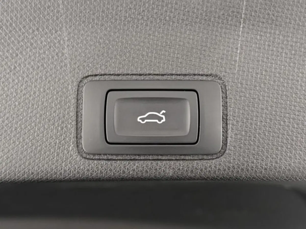 Cupra Terramar usata a Vicenza (11)