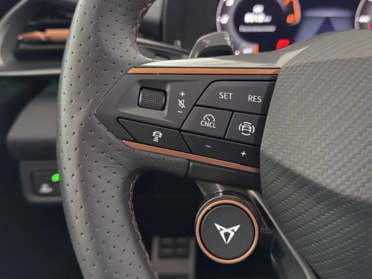 Cupra Terramar usata a Vicenza (17)