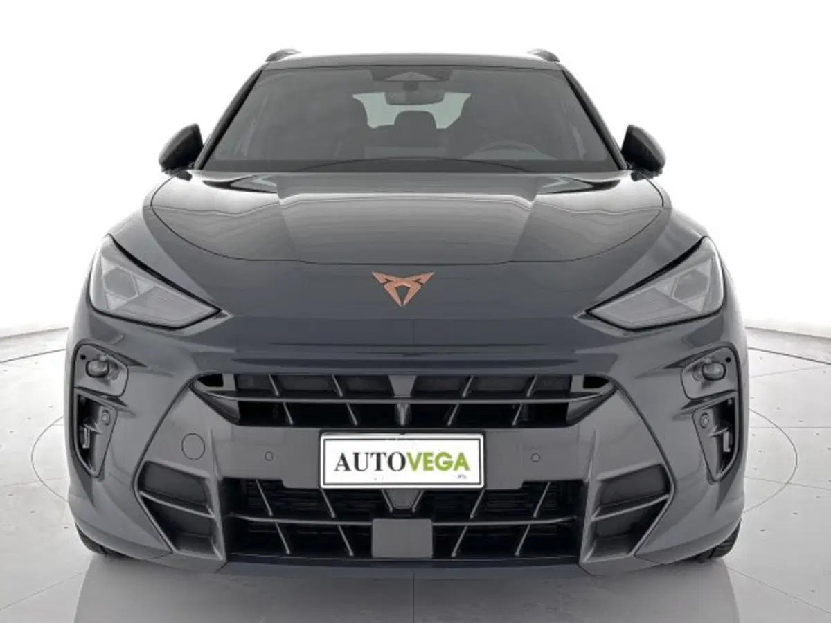 Cupra Terramar usata a Vicenza (2)