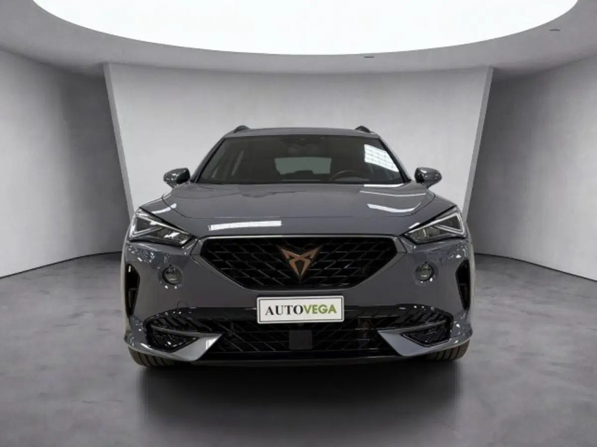 Cupra Formentor usata a Vicenza (2)