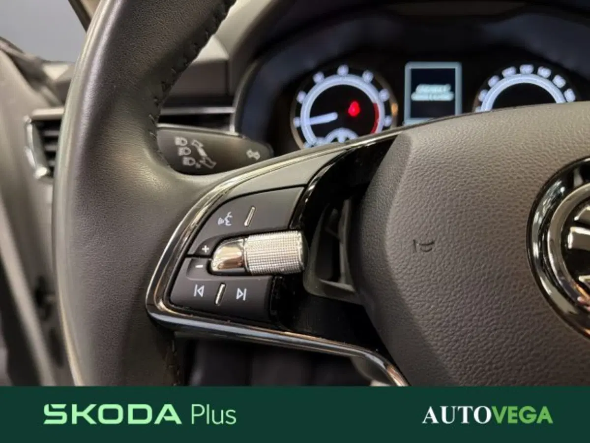 Skoda Scala usata a Vicenza (16)