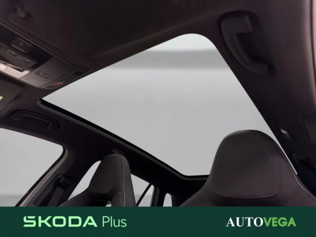 Skoda Kamiq usata a Vicenza (16)