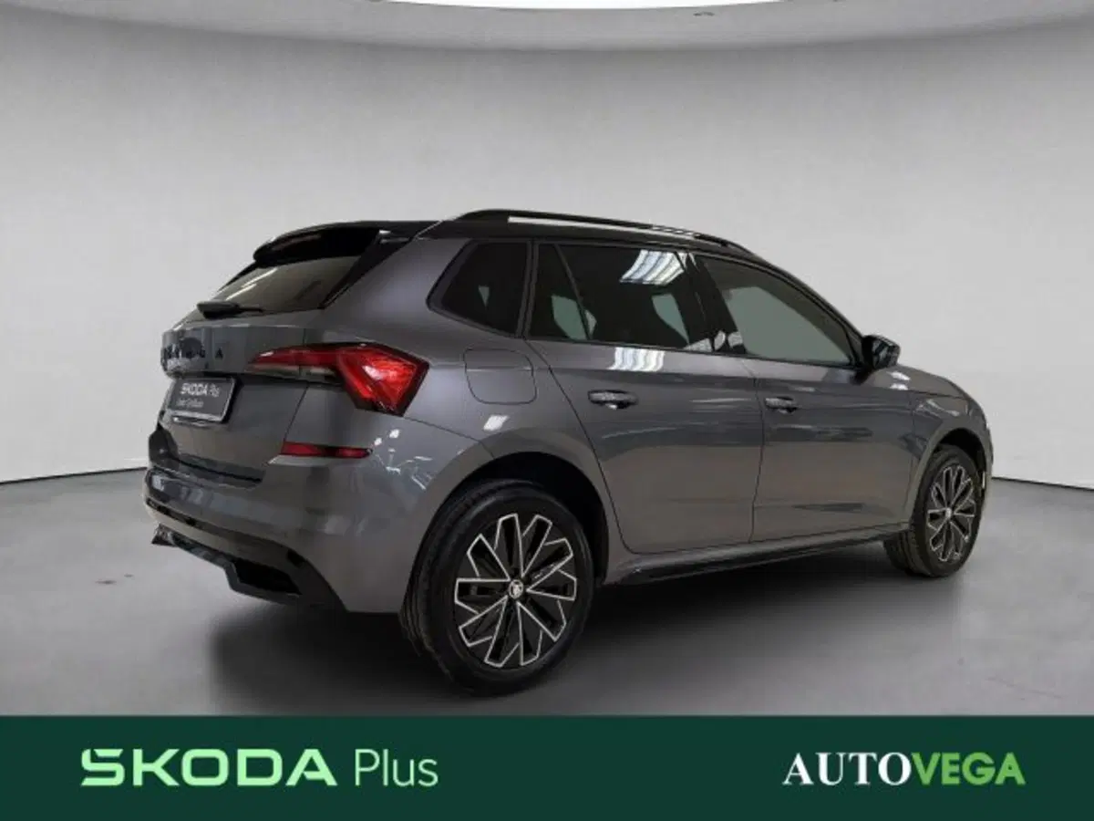 Skoda Kamiq usata a Vicenza (4)