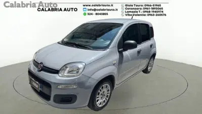 Fiat Panda 1.0 firefly hybrid s&amp;s 70cv 5p.ti del 2021 usata a Gioia Tauro