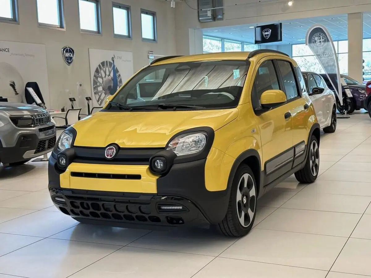 Fiat Pandina nuova a Sondrio