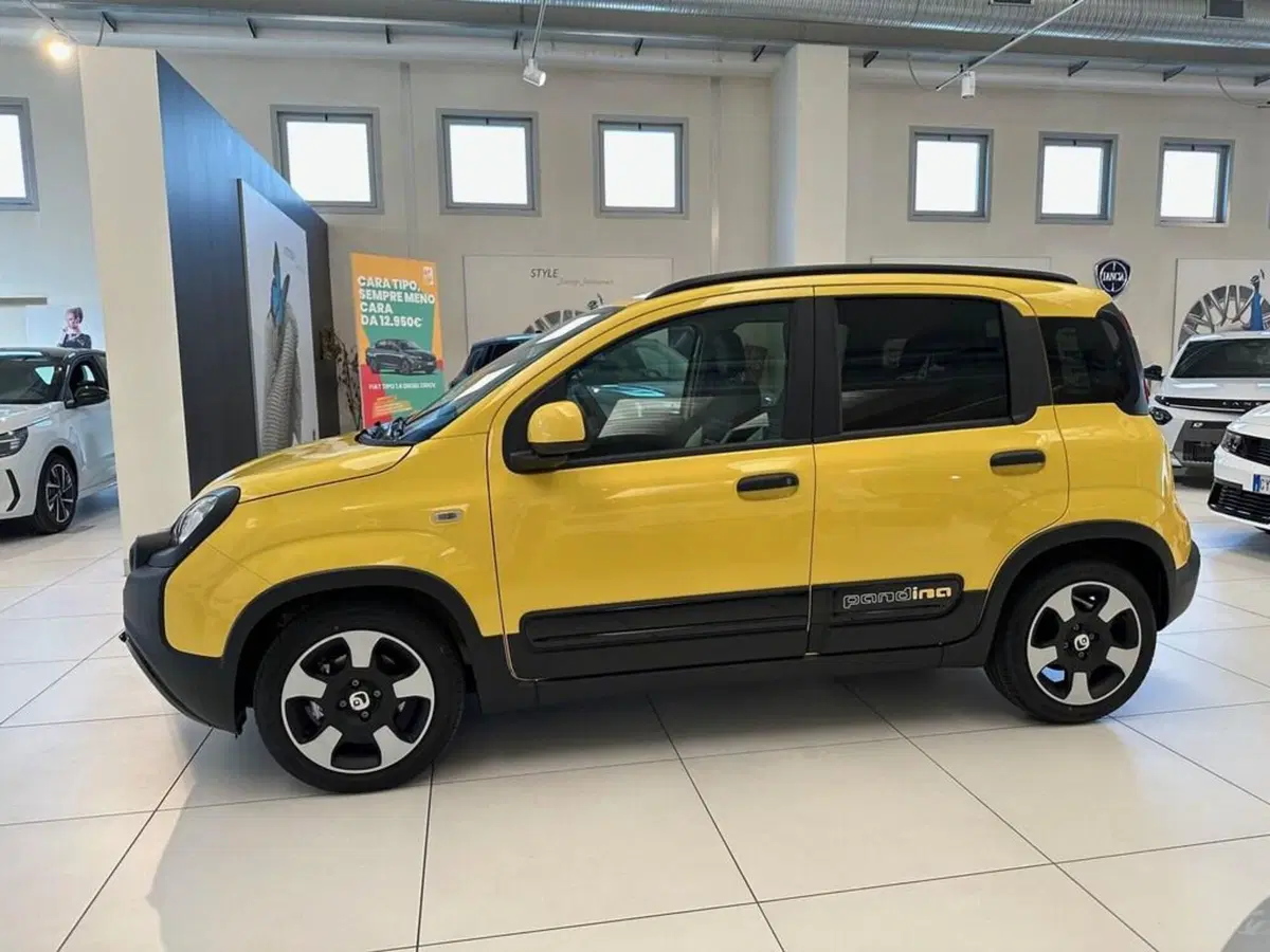 Fiat Pandina nuova a Sondrio (2)