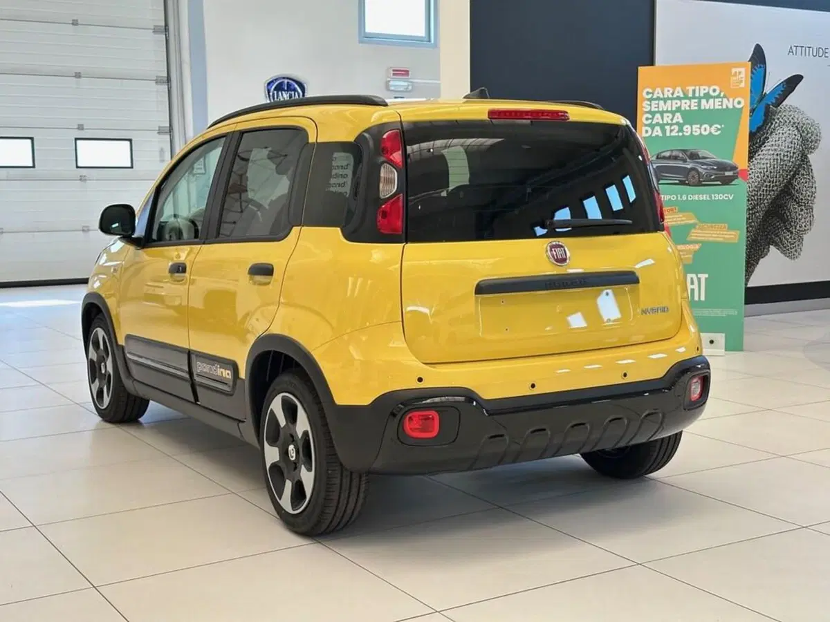 Fiat Pandina nuova a Sondrio (3)