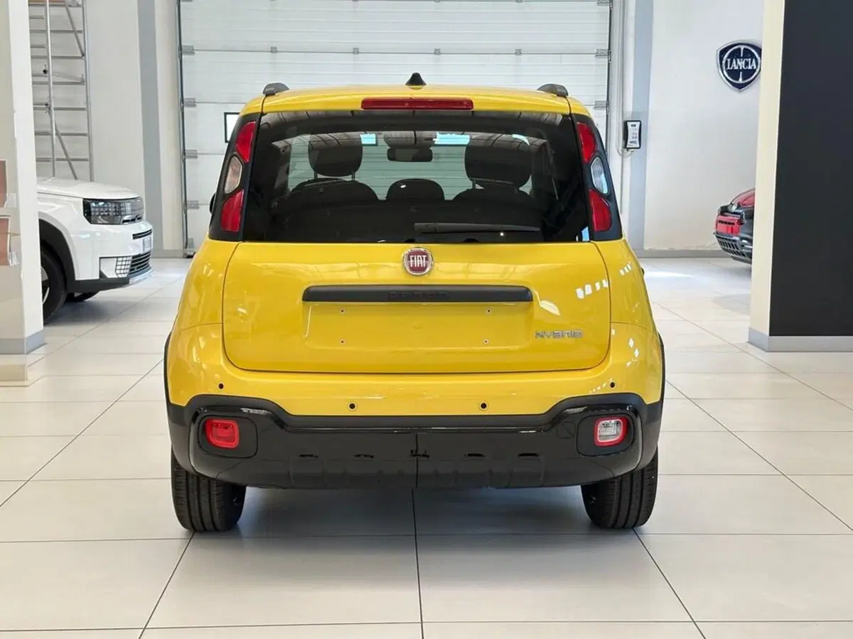 Fiat Pandina nuova a Sondrio (4)