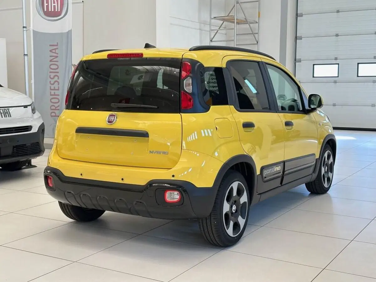Fiat Pandina nuova a Sondrio (5)