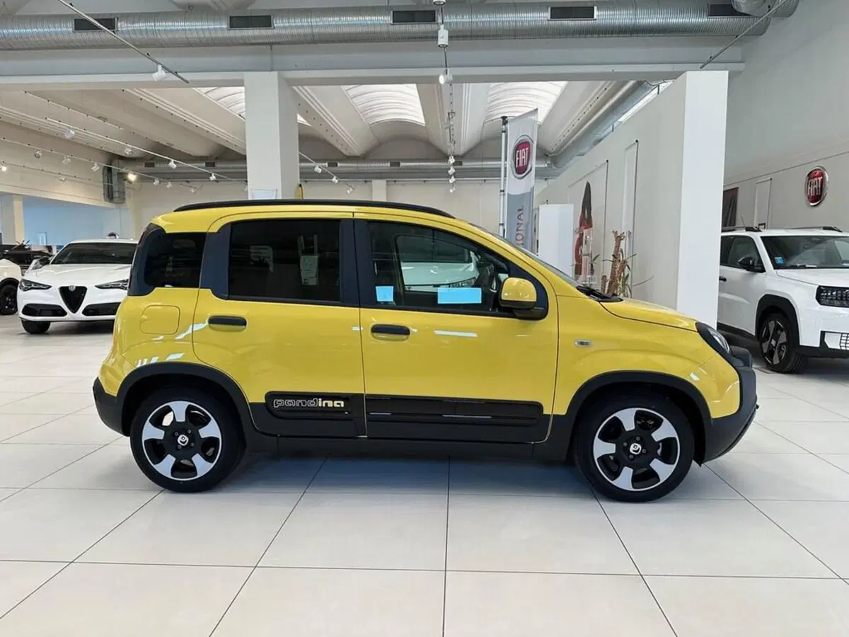 Fiat Pandina nuova a Sondrio (6)