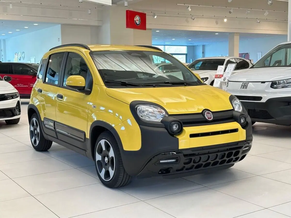 Fiat Pandina nuova a Sondrio (7)