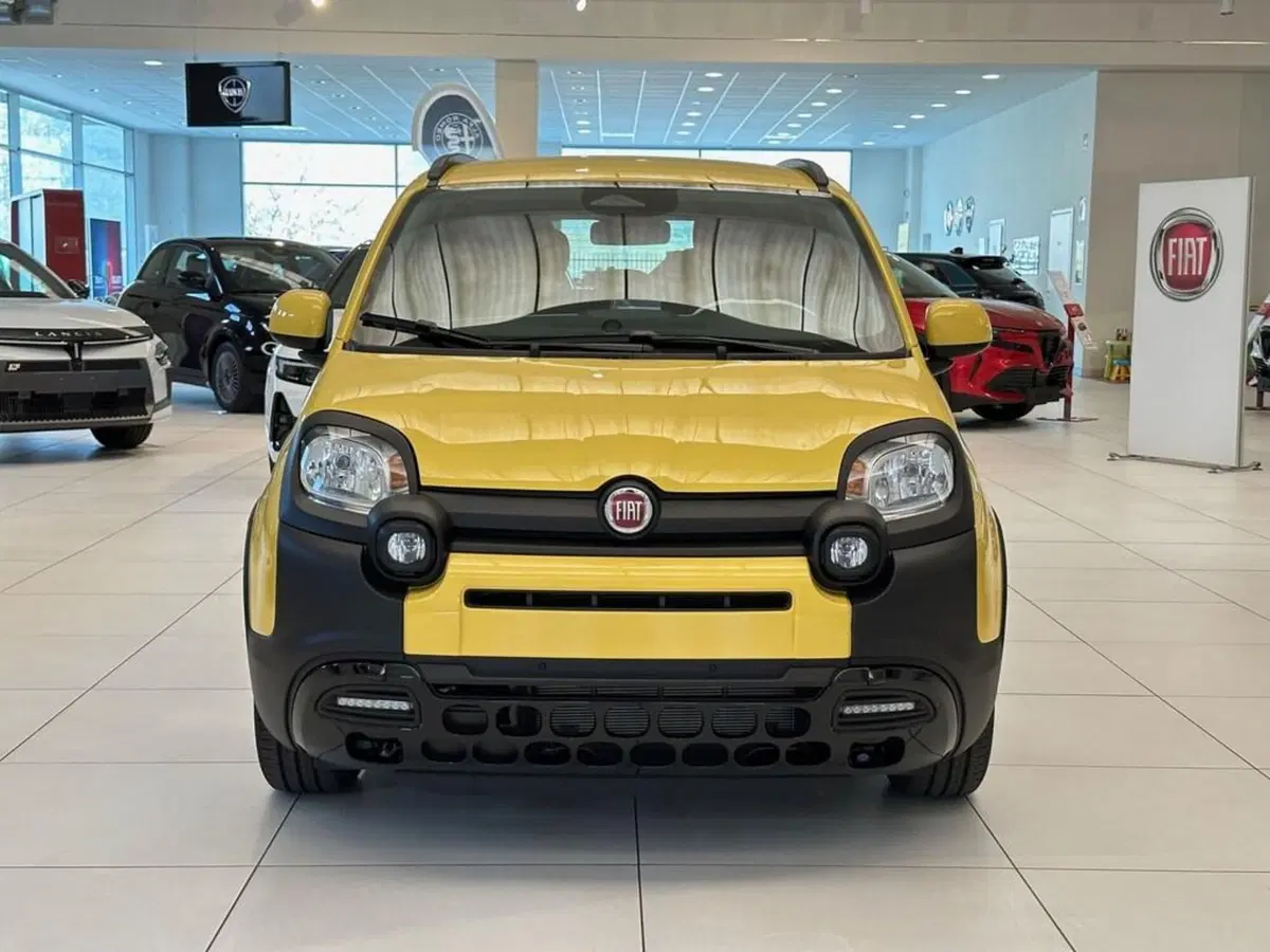Fiat Pandina nuova a Sondrio (8)