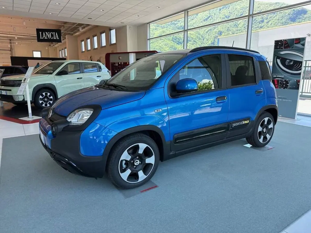 Fiat Pandina nuova a Sondrio (2)