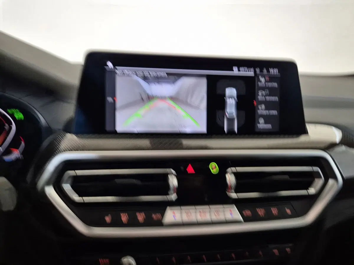 BMW X4 usata a Torino (17)