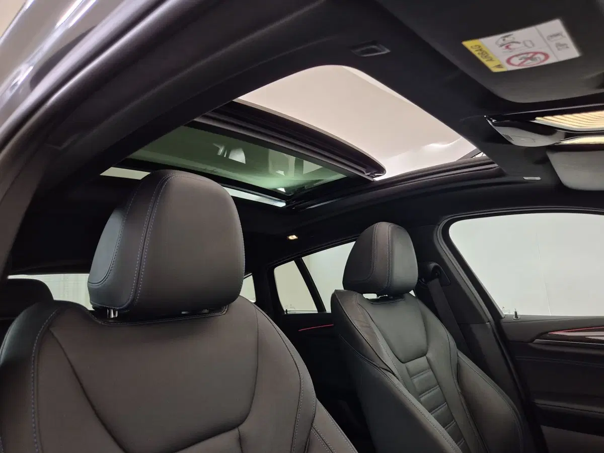 BMW X4 usata a Torino (18)