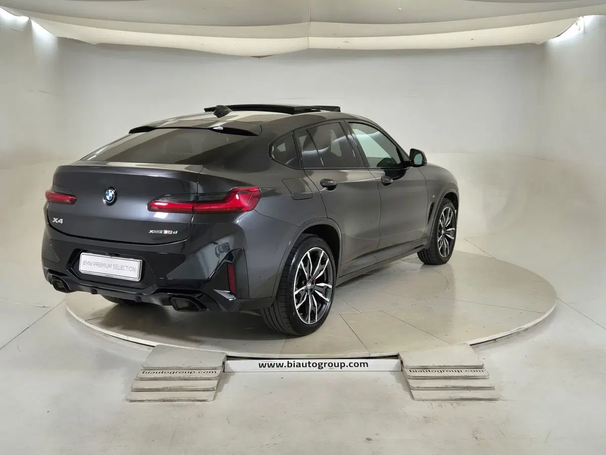 BMW X4 usata a Torino (5)