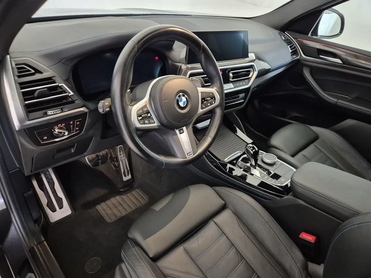BMW X4 usata a Torino (7)
