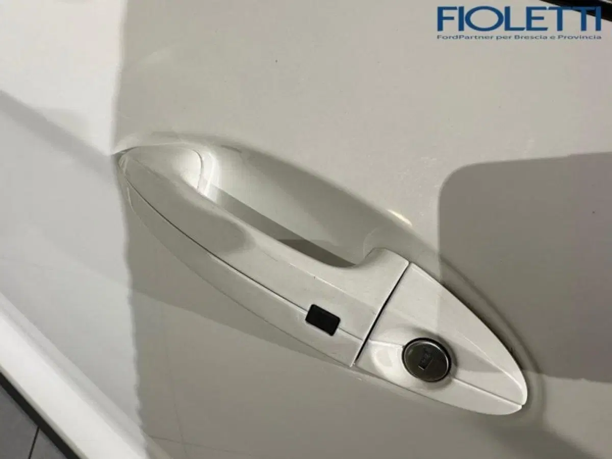 Ford EcoSport usata a Brescia (19)