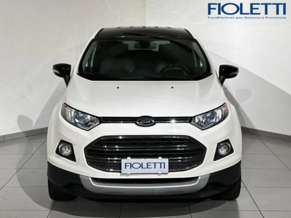 Ford EcoSport usata a Brescia (3)