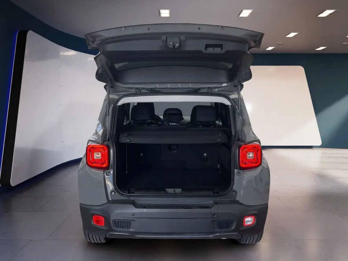 Jeep Renegade usata a Torino (8)