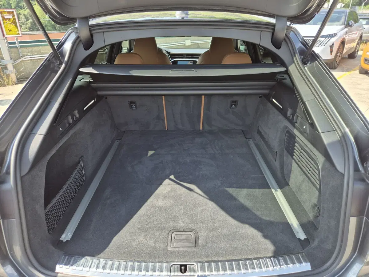 Audi A6 Avant e-Tron usata  (12)