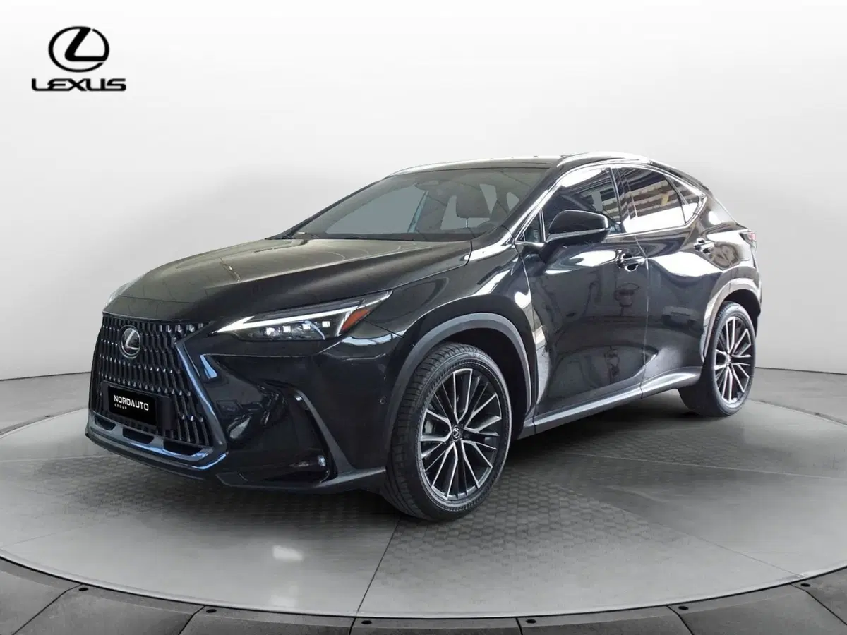 Lexus NX usata a Venezia