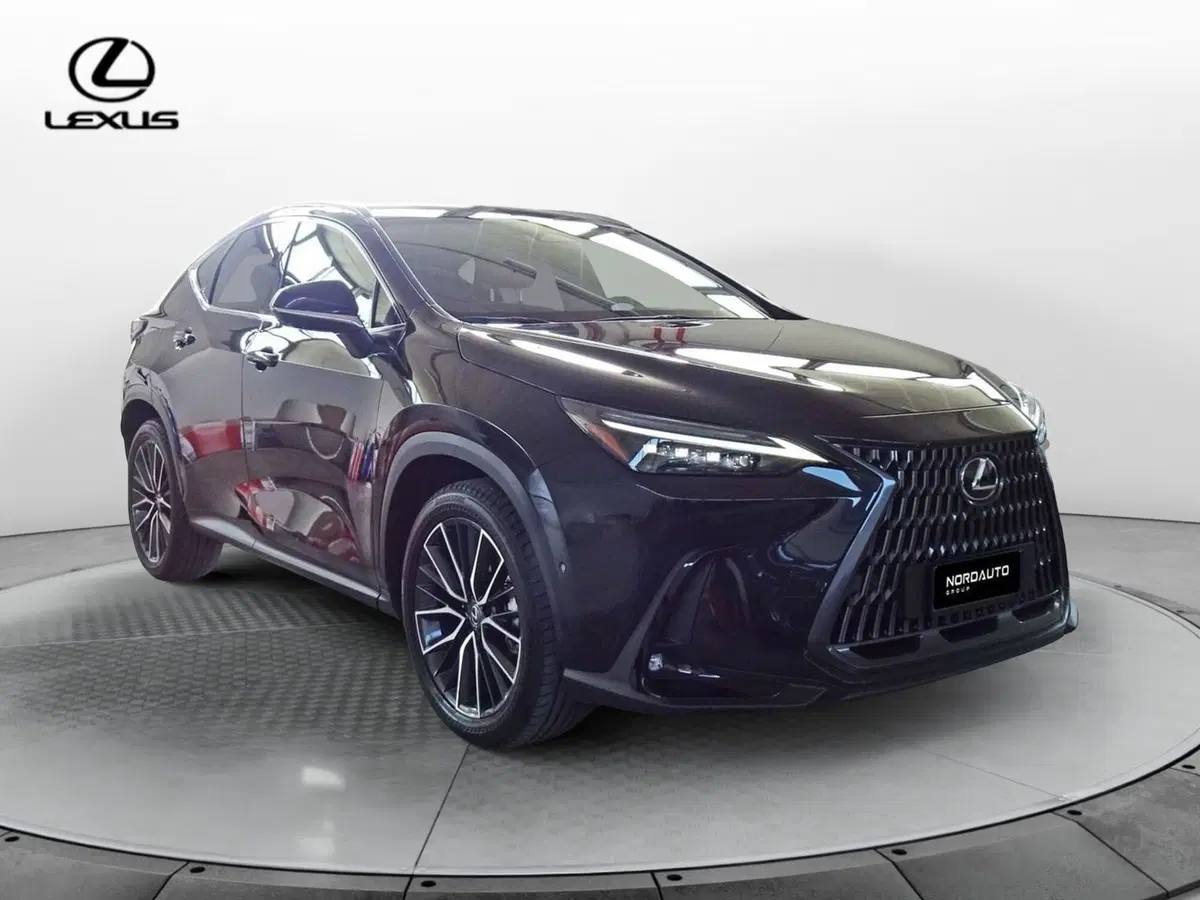 Lexus NX usata a Venezia (2)