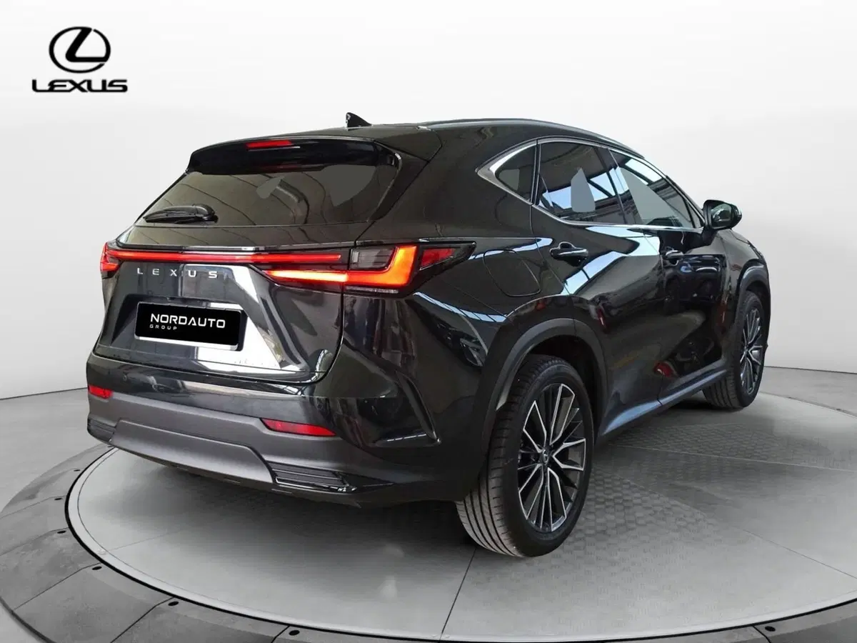 Lexus NX usata a Venezia (3)