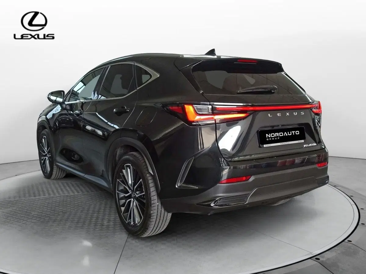 Lexus NX usata a Venezia (4)