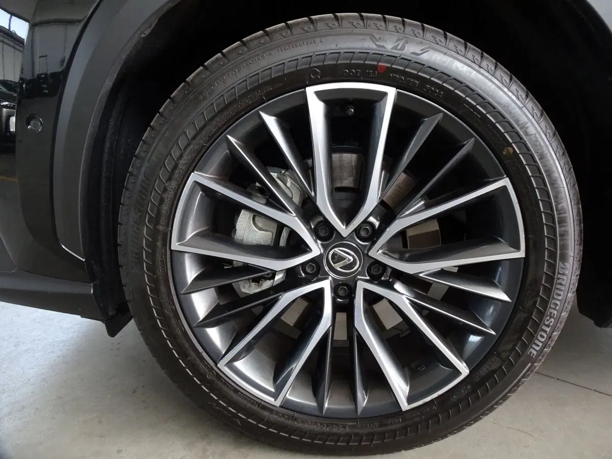 Lexus NX usata a Venezia (6)