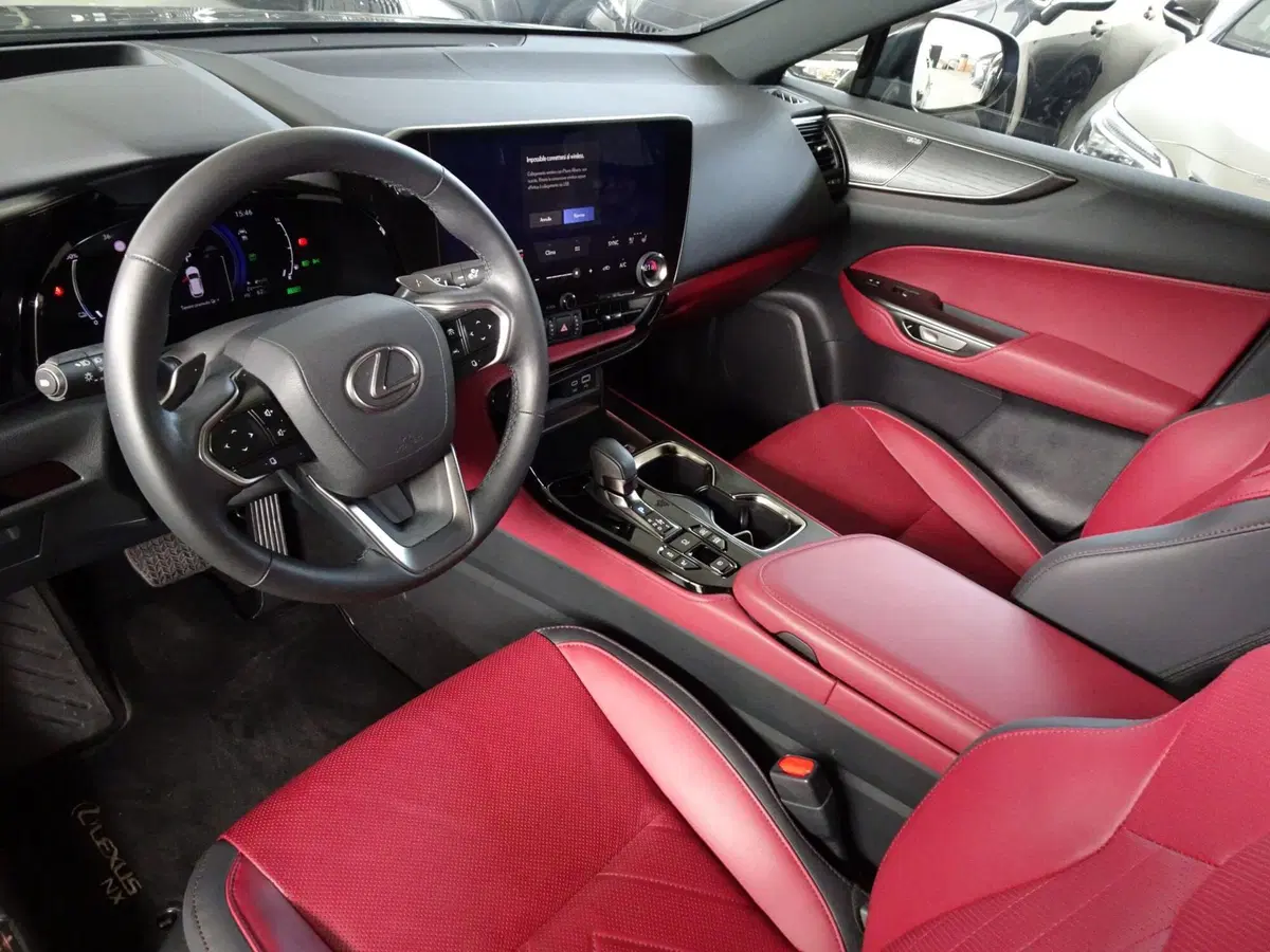 Lexus NX usata a Venezia (7)