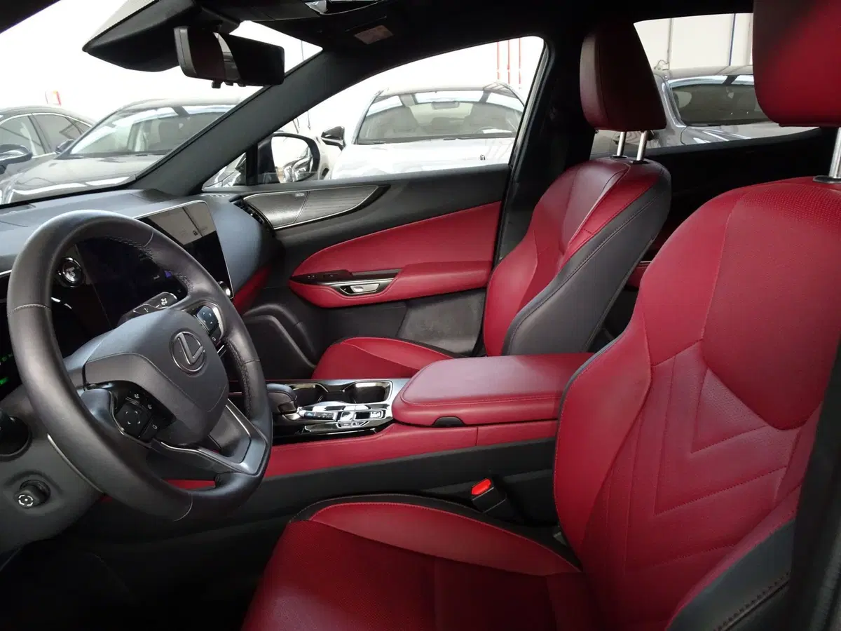 Lexus NX usata a Venezia (8)