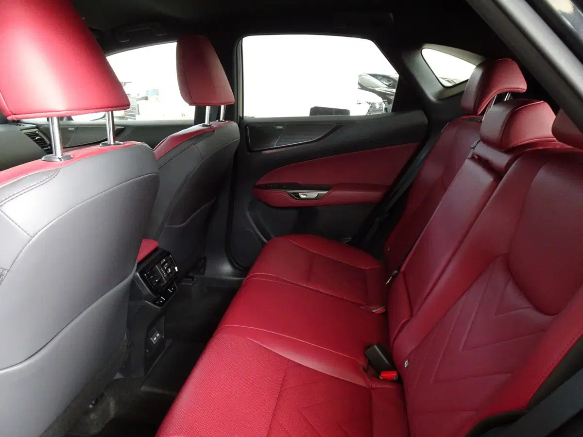 Lexus NX usata a Venezia (9)
