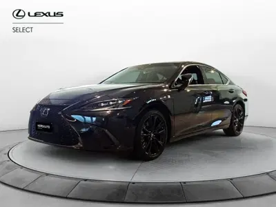Lexus ES Hybrid FSport del 2023 usata a Venezia