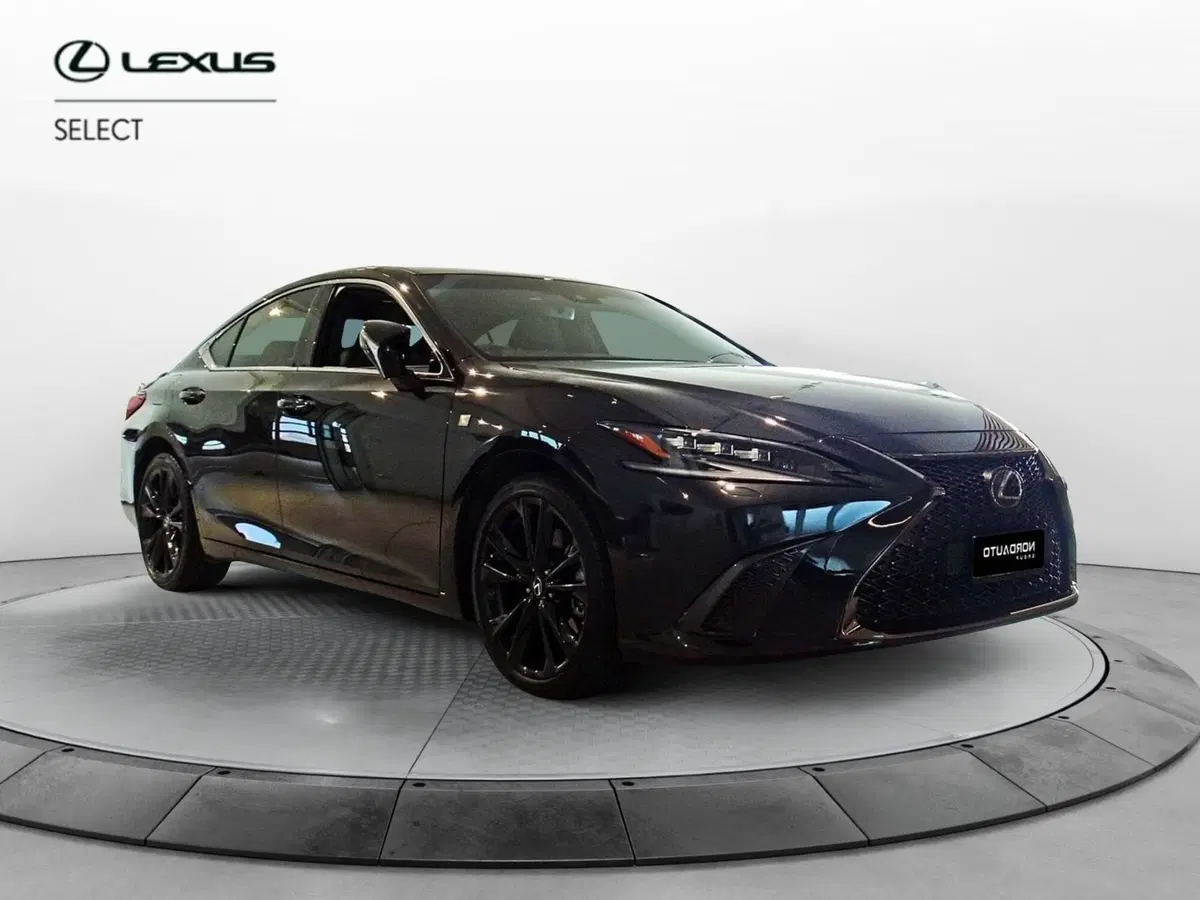 Lexus ES usata a Venezia (2)