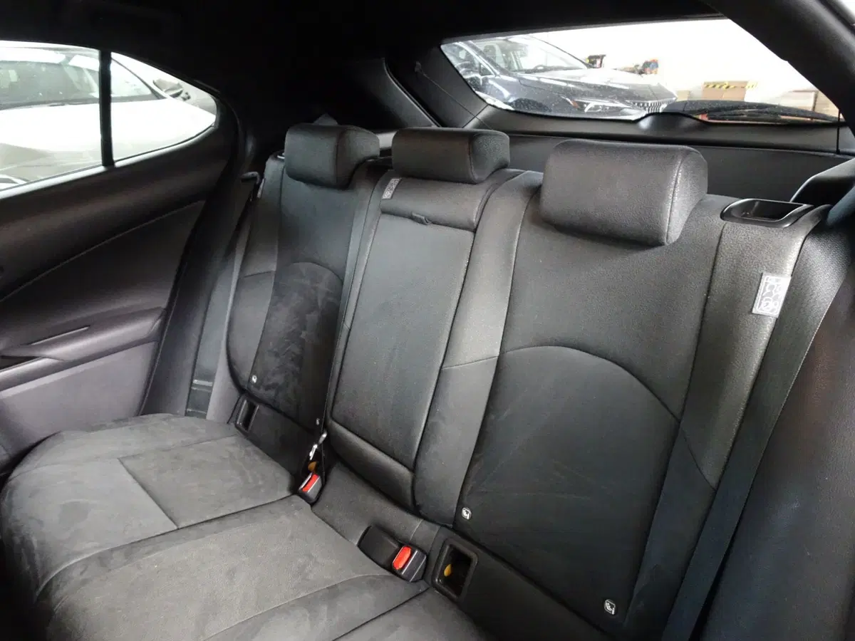 Lexus UX usata a Venezia (10)