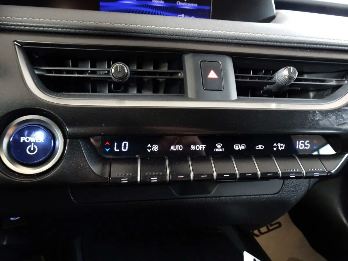 Lexus UX usata a Venezia (19)