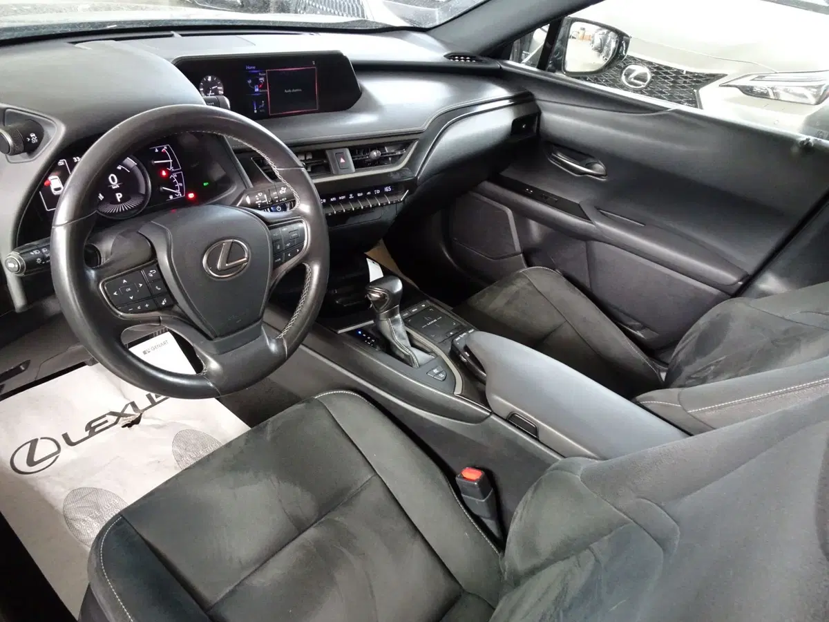 Lexus UX usata a Venezia (7)