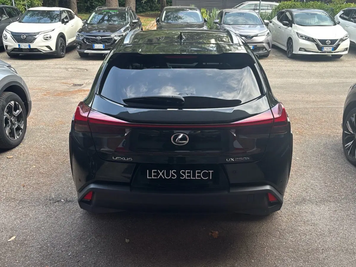 Lexus UX usata a Bologna (4)