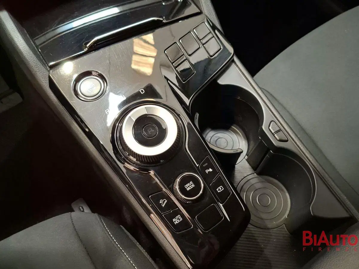 Kia Sportage usata a Firenze (17)