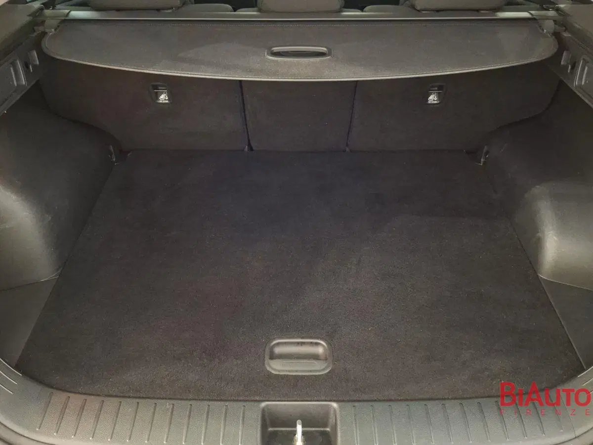 Kia Sportage usata a Firenze (5)