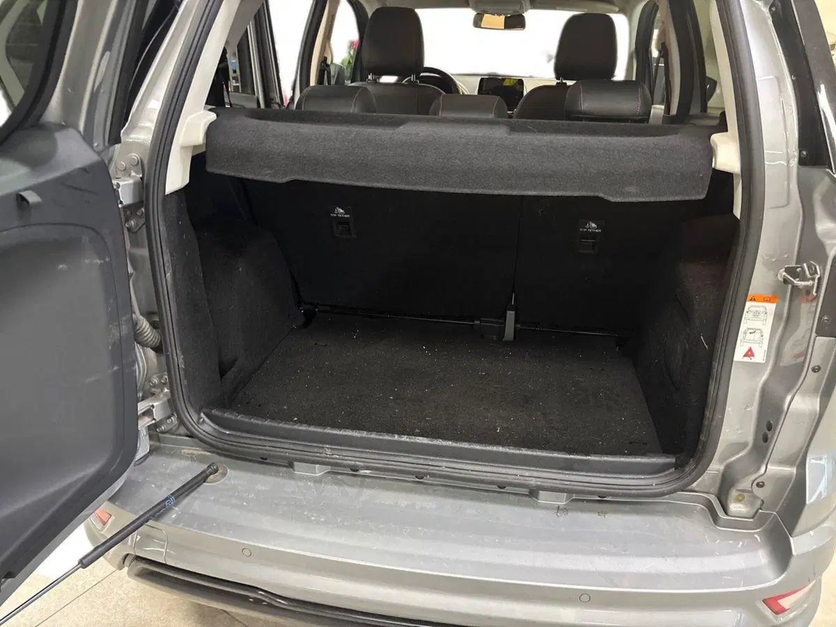 Ford EcoSport usata a Torino (10)
