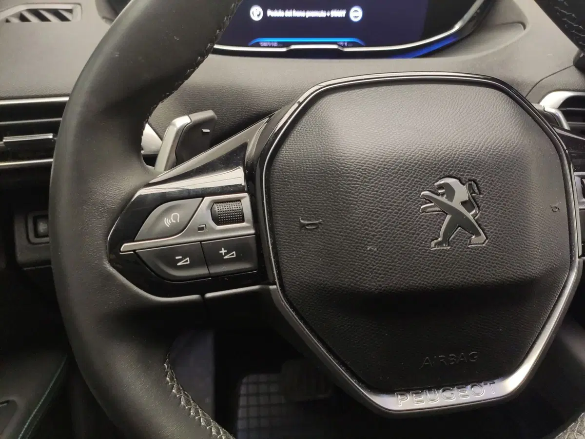 Peugeot 3008 usata a Avellino (14)