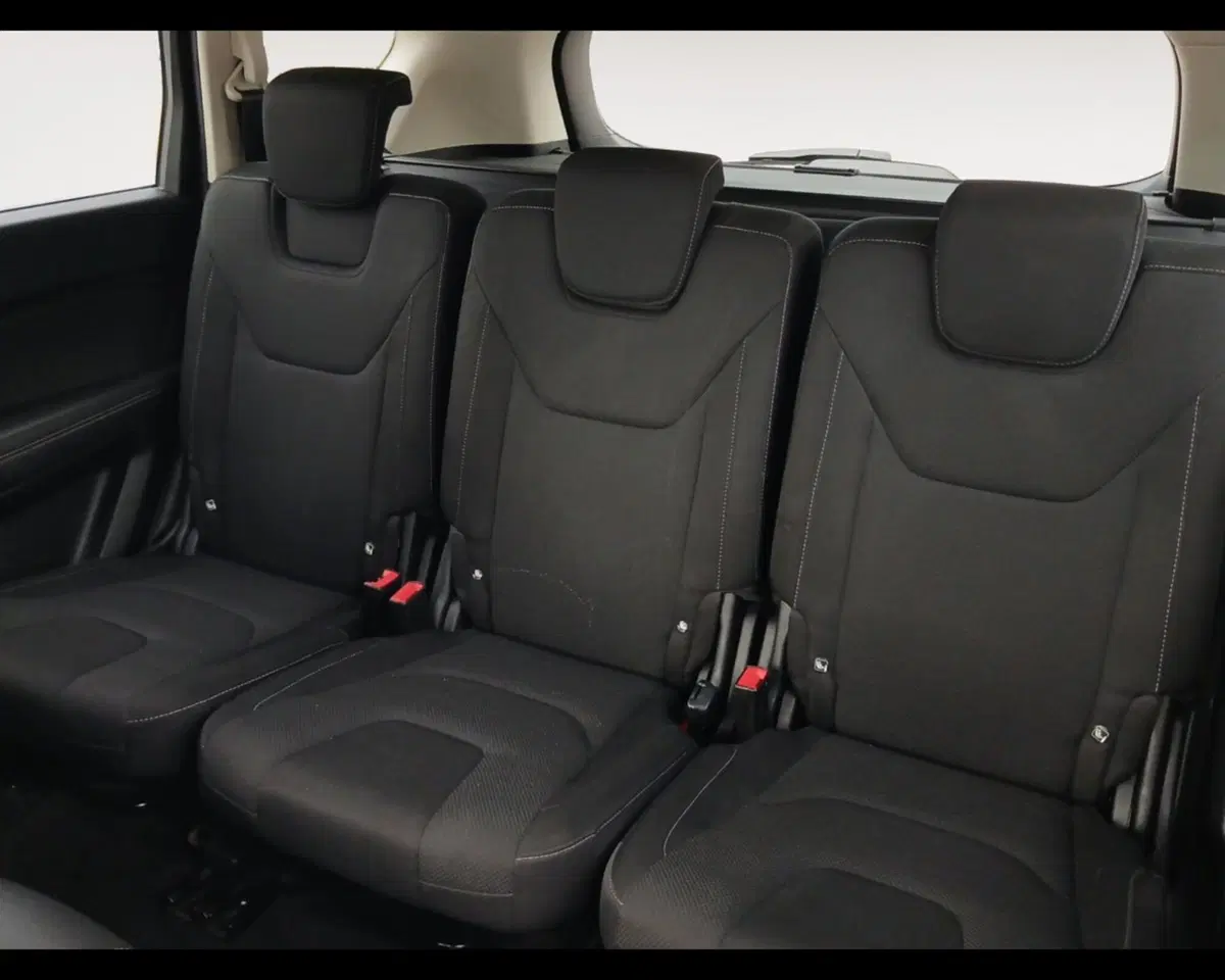 Ford S-Max usata a Ravenna (13)