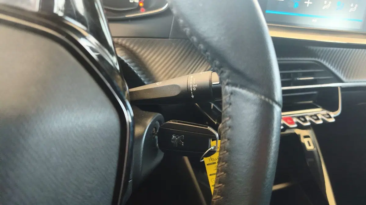 Peugeot 208 usata a Firenze (20)
