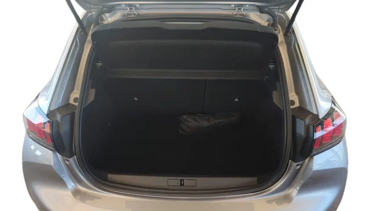 Peugeot 208 usata a Firenze (8)